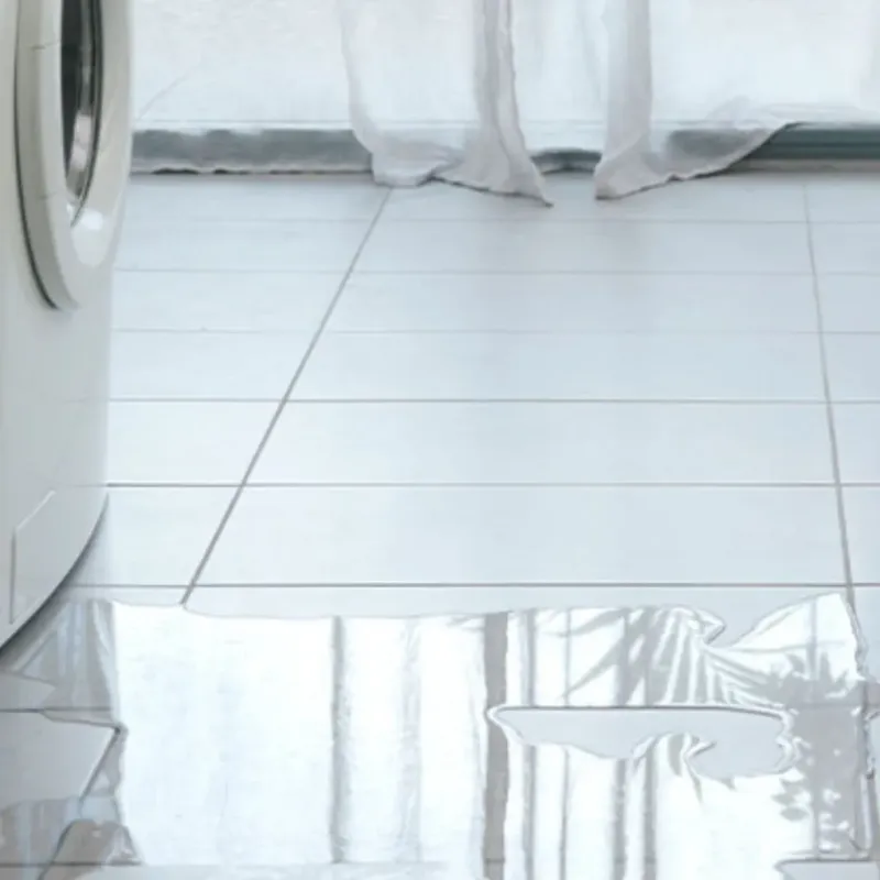Appliance Leak Cleanup in Ellensburg, WA