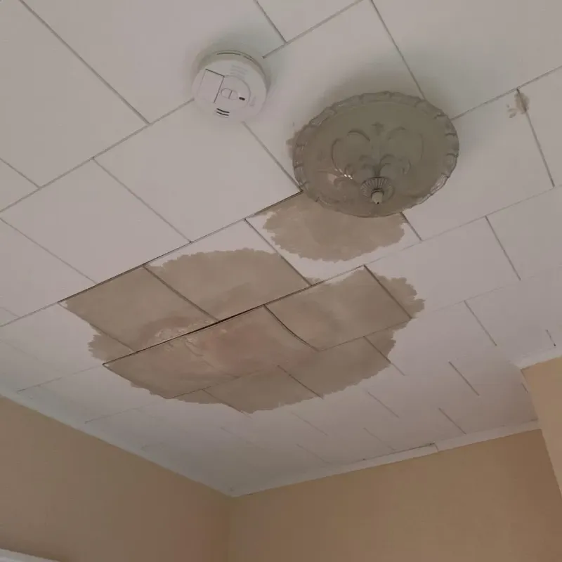 Ceiling Water Damage Repair in Ellensburg, WA